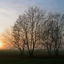 FGM 037 Motzko Josef